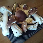 In Auvergne 民宿 Laval-sur-Doulon