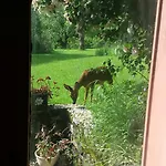 In Auvergne 民宿 Laval-sur-Doulon