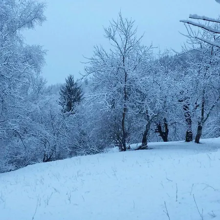 Privat bolig In Auvergne *