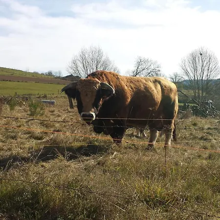 In Auvergne *