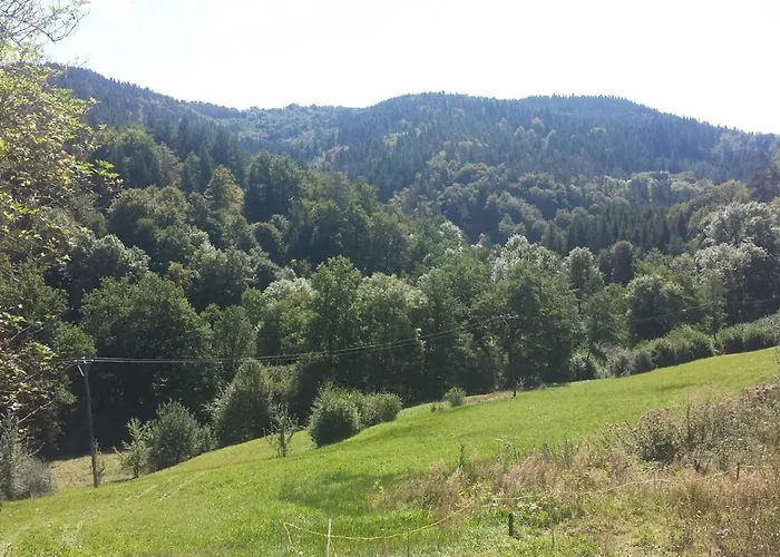 Проживание в семье In Auvergne *