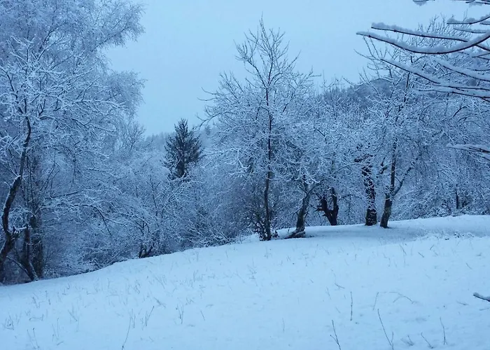 Проживание в семье In Auvergne *